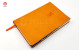 Custom Notebooks with Company Logo & Journals & diary printing