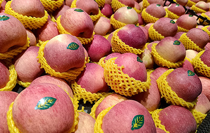 Fruit Labels - Waterproof Stickers
