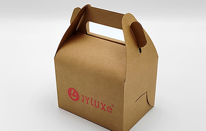 Kraft Paper Box with Handle - Takeaway Food Packaging